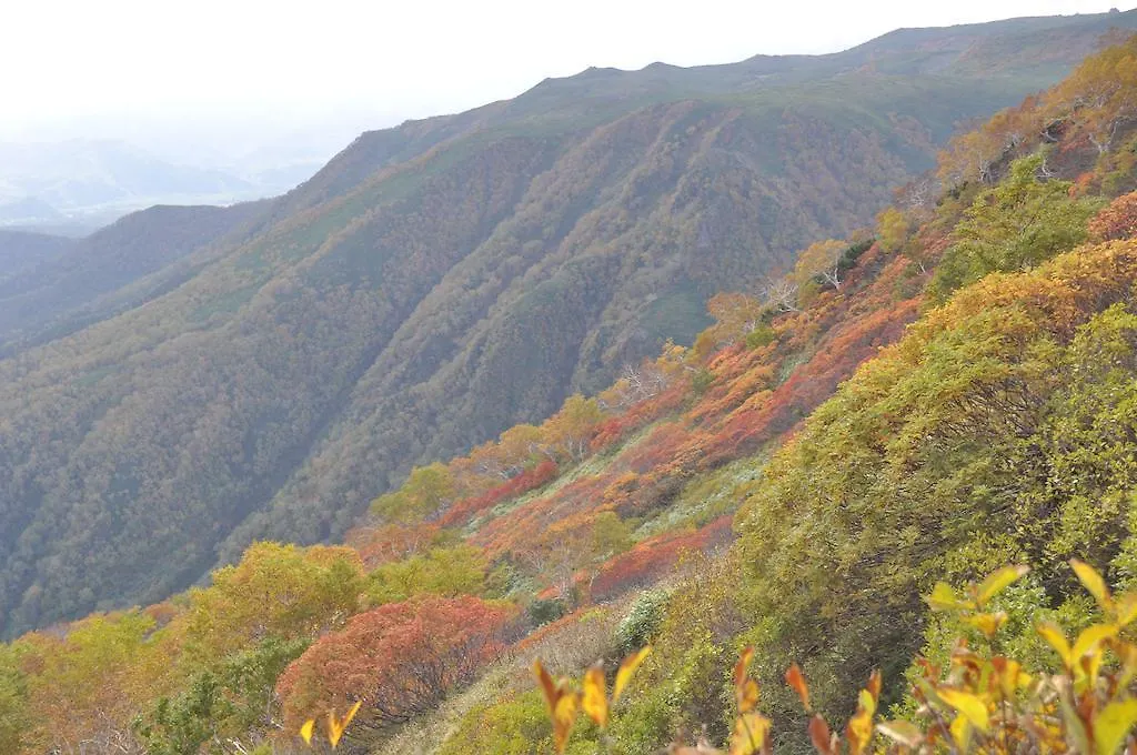 Yumoto Ginsenkaku Hotel Kamikawa  3*, Kamikawa (Hokkaido) Japan